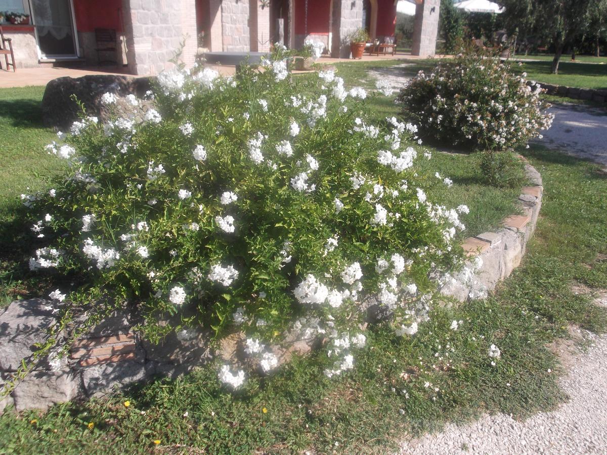 Agriturismo Casal Grande Canepina Kültér fotó