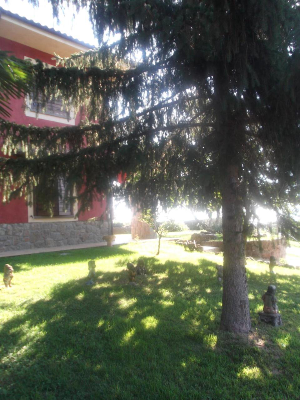 Agriturismo Casal Grande Canepina Kültér fotó